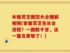 木植灵芝图型大全图解视频(掌握灵芝生长全流程？一图胜千言，这一篇文章够了！)