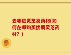 去哪进灵芝卖药材(如何在哪购买优质灵芝药材？)