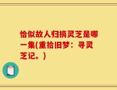 恰似故人归摘灵芝是哪一集(重拾旧梦：寻灵芝记。)