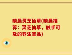 晴晨灵芝仙草(晴晨推荐：灵芝仙草，触手可及的养生圣品)