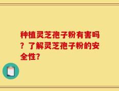 种植灵芝孢子粉有害吗？了解灵芝孢子粉的安全性？