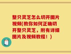 整只灵芝怎么切开图片视频(教你如何正确切开整只灵芝，附有详细图片及视频教程！)