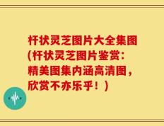 杆状灵芝图片大全集图(杆状灵芝图片鉴赏：精美图集内涵高清图，欣赏不亦乐乎！)