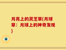 月亮上的灵芝草(月球草：月球上的神奇发现)