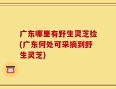 广东哪里有野生灵芝捡(广东何处可采摘到野生灵芝)