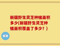 新疆野生灵芝种植面积多少(新疆野生灵芝种植面积覆盖了多少？)