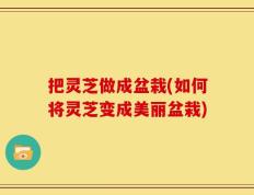 把灵芝做成盆栽(如何将灵芝变成美丽盆栽)