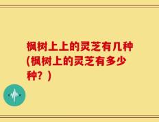 枫树上上的灵芝有几种(枫树上的灵芝有多少种？)
