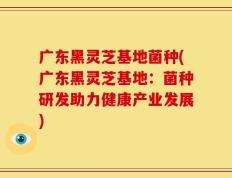 广东黑灵芝基地菌种(广东黑灵芝基地：菌种研发助力健康产业发展)