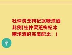 杜仲灵芝枸杞冰糖泡酒比例(杜仲灵芝枸杞冰糖泡酒的完美配比！)