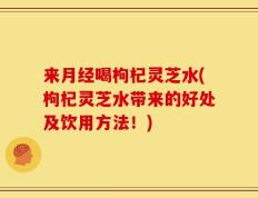 来月经喝枸杞灵芝水(枸杞灵芝水带来的好处及饮用方法！)