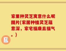 家里种灵芝寓意什么呢图片(家居种植灵芝蕴意深，家宅福康且福气。)