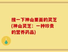搜一下神山里面的灵芝(神山灵芝：一种珍贵的营养药品)