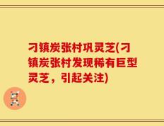 刁镇炭张村巩灵芝(刁镇炭张村发现稀有巨型灵芝，引起关注)