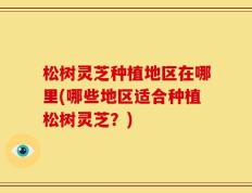 松树灵芝种植地区在哪里(哪些地区适合种植松树灵芝？)