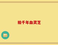拍千年血灵芝