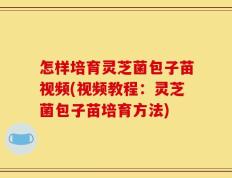 怎样培育灵芝菌包子苗视频(视频教程：灵芝菌包子苗培育方法)