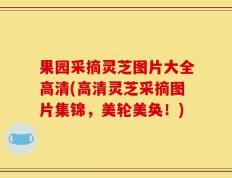 果园采摘灵芝图片大全高清(高清灵芝采摘图片集锦，美轮美奂！)