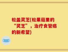 松盖灵芝(松果菇里的“灵芝”，治疗食管癌的新希望)