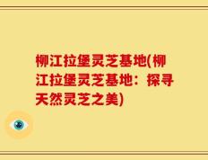 柳江拉堡灵芝基地(柳江拉堡灵芝基地：探寻天然灵芝之美)