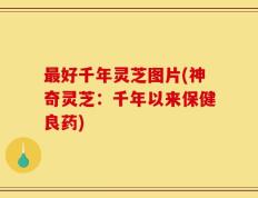 最好千年灵芝图片(神奇灵芝：千年以来保健良药)