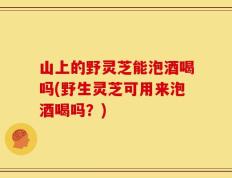 山上的野灵芝能泡酒喝吗(野生灵芝可用来泡酒喝吗？)