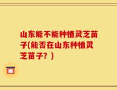 山东能不能种植灵芝苗子(能否在山东种植灵芝苗子？)