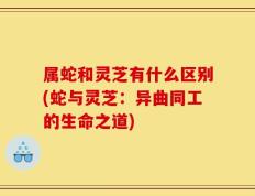 属蛇和灵芝有什么区别(蛇与灵芝：异曲同工的生命之道)