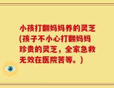 小孩打翻妈妈养的灵芝(孩子不小心打翻妈妈珍贵的灵芝，全家急救无效在医院苦等。)