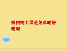枇杷树上灵芝怎么吃好吃呢