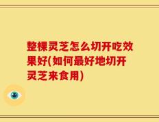 整棵灵芝怎么切开吃效果好(如何最好地切开灵芝来食用)