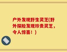 户外发现野生灵芝(野外探险发现珍贵灵芝，令人惊喜！)