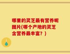 哪里的灵芝最有营养呢图片(哪个产地的灵芝含营养最丰富？)