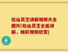 松山灵芝讲解视频大全图片(松山灵芝全面讲解，精彩视频欣赏)