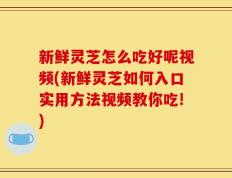 新鲜灵芝怎么吃好呢视频(新鲜灵芝如何入口实用方法视频教你吃!)