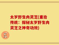 太岁野生肉灵芝(重拾传统：探秘太岁野生肉灵芝之神奇功效)