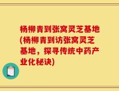 杨柳青到张窝灵芝基地(杨柳青到访张窝灵芝基地，探寻传统中药产业化秘诀)