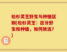 松杉灵芝野生与种植区别(松杉灵芝：区分野生和种植，如何挑选？)