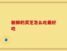 新鲜的灵芝怎么吃最好吃