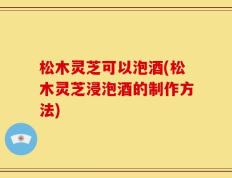 松木灵芝可以泡酒(松木灵芝浸泡酒的制作方法)