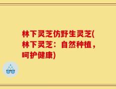 林下灵芝仿野生灵芝(林下灵芝：自然种植，呵护健康)