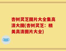 杏树灵芝图片大全集高清大图(杏树灵芝：精美高清图片大全)