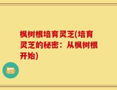 枫树根培育灵芝(培育灵芝的秘密：从枫树根开始)