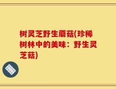 树灵芝野生蘑菇(珍稀树林中的美味：野生灵芝菇)