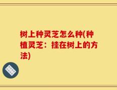 树上种灵芝怎么种(种植灵芝：挂在树上的方法)