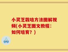 小灵芝栽培方法图解视频(小灵芝图文教程：如何培育？)