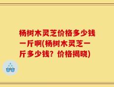 杨树木灵芝价格多少钱一斤啊(杨树木灵芝一斤多少钱？价格揭晓)