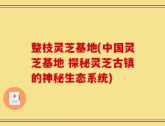 整枝灵芝基地(中国灵芝基地 探秘灵芝古镇的神秘生态系统)