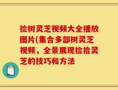 捡树灵芝视频大全播放图片(集合多部树灵芝视频，全景展现捡拾灵芝的技巧和方法