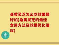 桑黄灵芝怎么吃效果最好的(桑黄灵芝的最佳食用方法及效果优化建议)